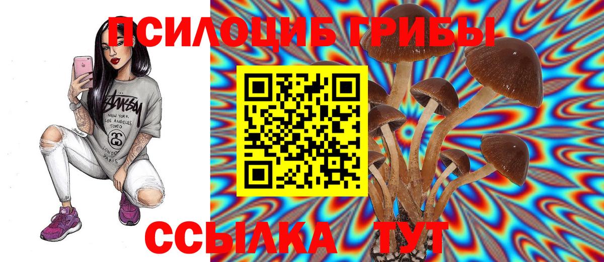 Галлюциногенные грибы прущие грибы Мариинск