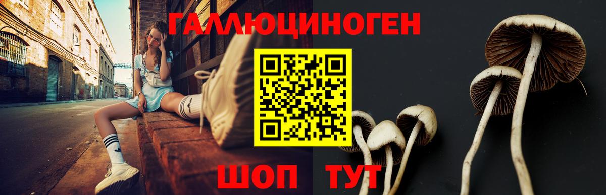 Галлюциногенные грибы прущие грибы  Вход с VPN  как найти закладки  Мариинск 